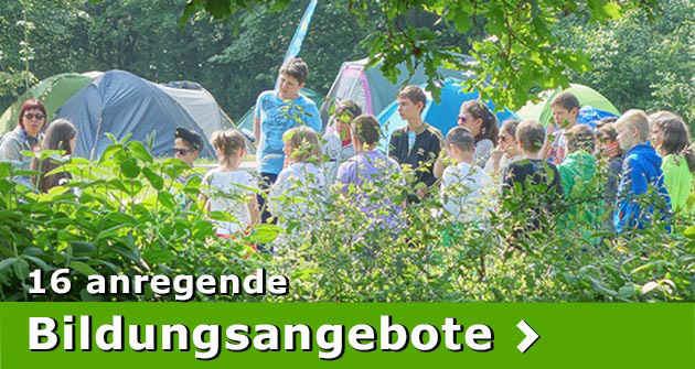 31-9-022-bildungsangebote
